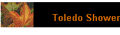 Toledo Shower