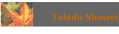Toledo Shower